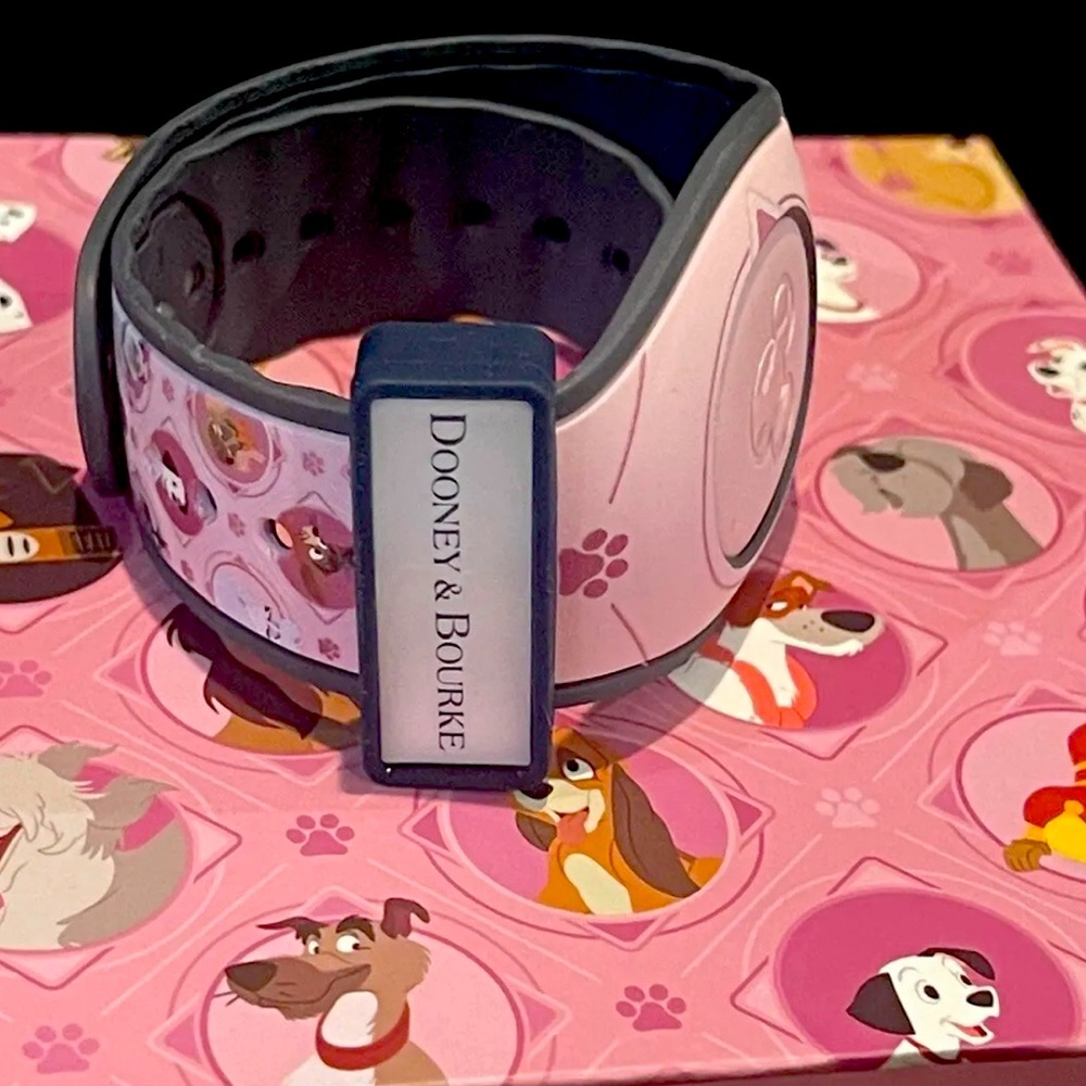 Dooney & Bourke Pink and Blue Wristband